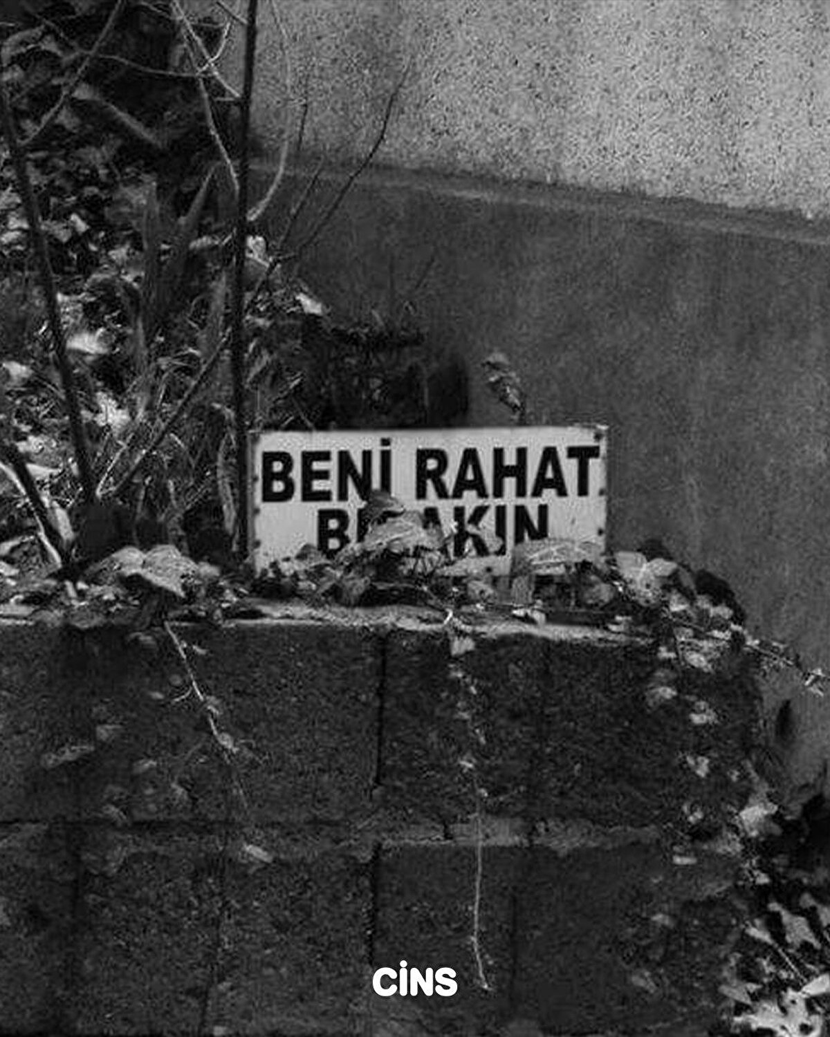 Beni rahat bırakın 