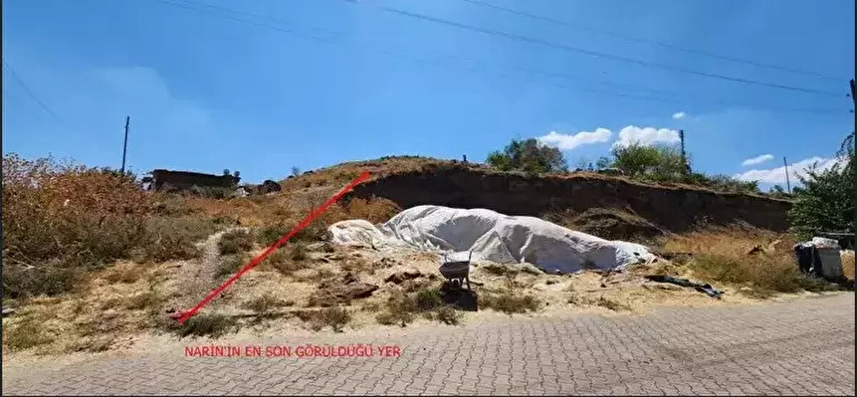 Bölge Adliye Mahkemesi 1'inci Ceza Dairesi, sanıklar anne Yüksel, ağabey Enes ve amca Salim ile komşuları Nevzat Bahtiyar hakkında 8'inci Ağır Ceza Mahkemesi tarafından verilen hapis cezalarını 20 Mayıs'ta oy çokluğuyla onadı. Mahkeme başkanı da gerekçelerini sıralayarak karara şerh koydu.