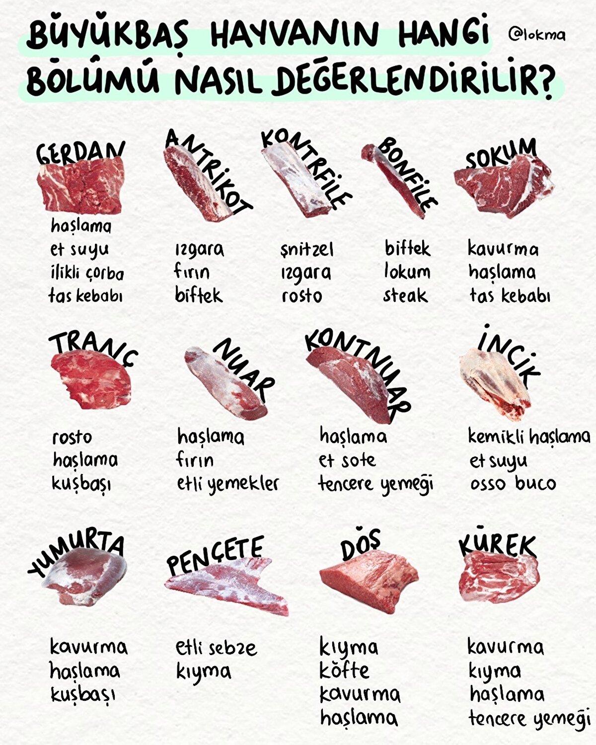 Hayvanın hangi bölümü nasıl değerlendirilir?