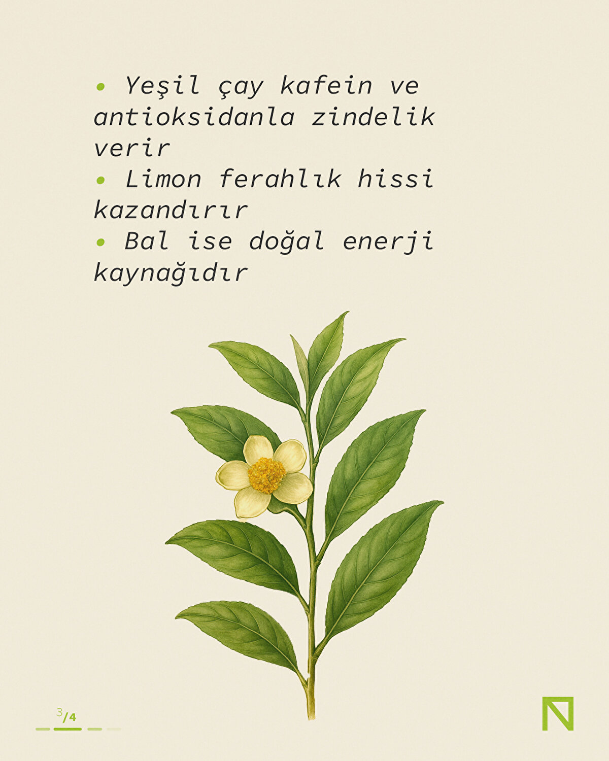 • Yeşil çay kafein ve antioksidanla zindelik verir
• Limon ferahlık hissi kazandırır
• Bal ise doğal enerji kaynağıdır