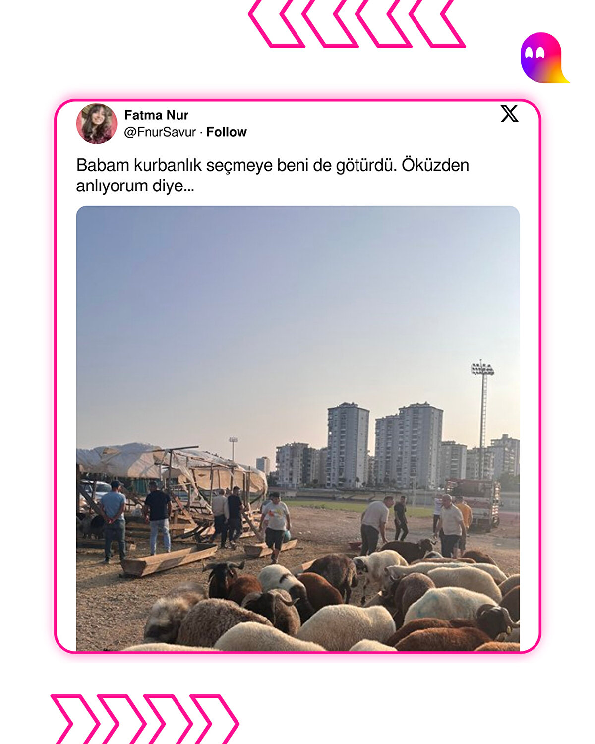 Kurbanlık Tweetler