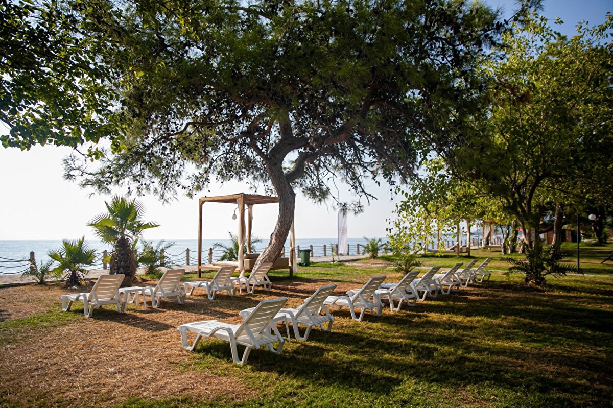 2025 Mayıs sonu itibarıyla 180 bin ziyaretçi<br><br>01 Ocak–26 Mayıs 2025 tarihleri arasında halk plajları, toplam 180 bin 200 kişi tarafından ziyaret edildi.  Bakan Ersoy, halk plajlarının yalnızca erişilebilir olmasıyla değil, sunduğu hizmet kalitesiyle de öne çıktığını vurgulayarak şunları söyledi:<br>“Halk plajlarımızda yalnızca kolay erişim değil, temizlikten güvenliğe, sosyal donatı alanlarından engelli dostu düzenlemelere kadar her ayrıntıda yüksek bir hizmet standardı sunuyoruz. Doğaya saygılı, sürdürülebilir ve herkesin kullanımına açık bu projeyle, turizmde toplumsal kapsayıcılığı ve çevre duyarlılığını aynı anda gözetiyoruz.”