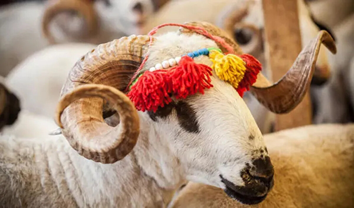 Söz konusu karar, ülkede son yıllarda artan kuraklık, hayvan varlığındaki azalma ve maliyetlerin yükselmesi nedeniyle alındı.<br>