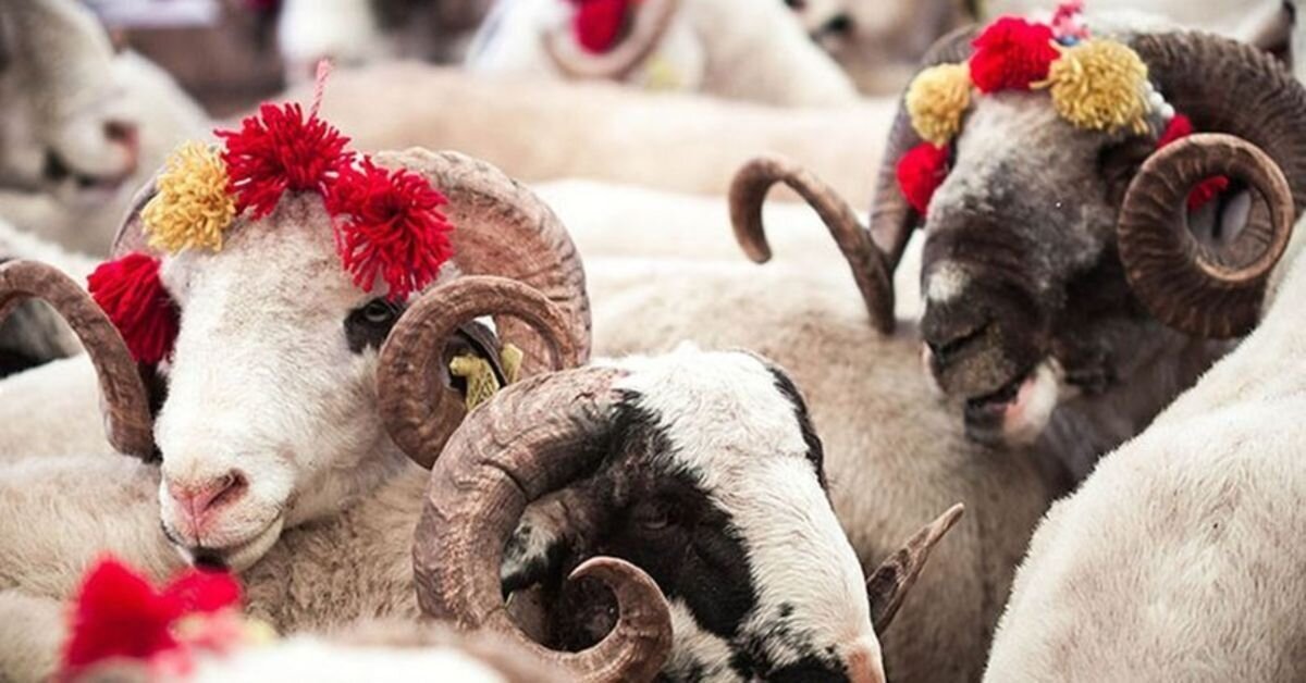 Bazı bölgelerde yasa dışı satışların engellenmesine yönelik denetimler artırıldı.<br>