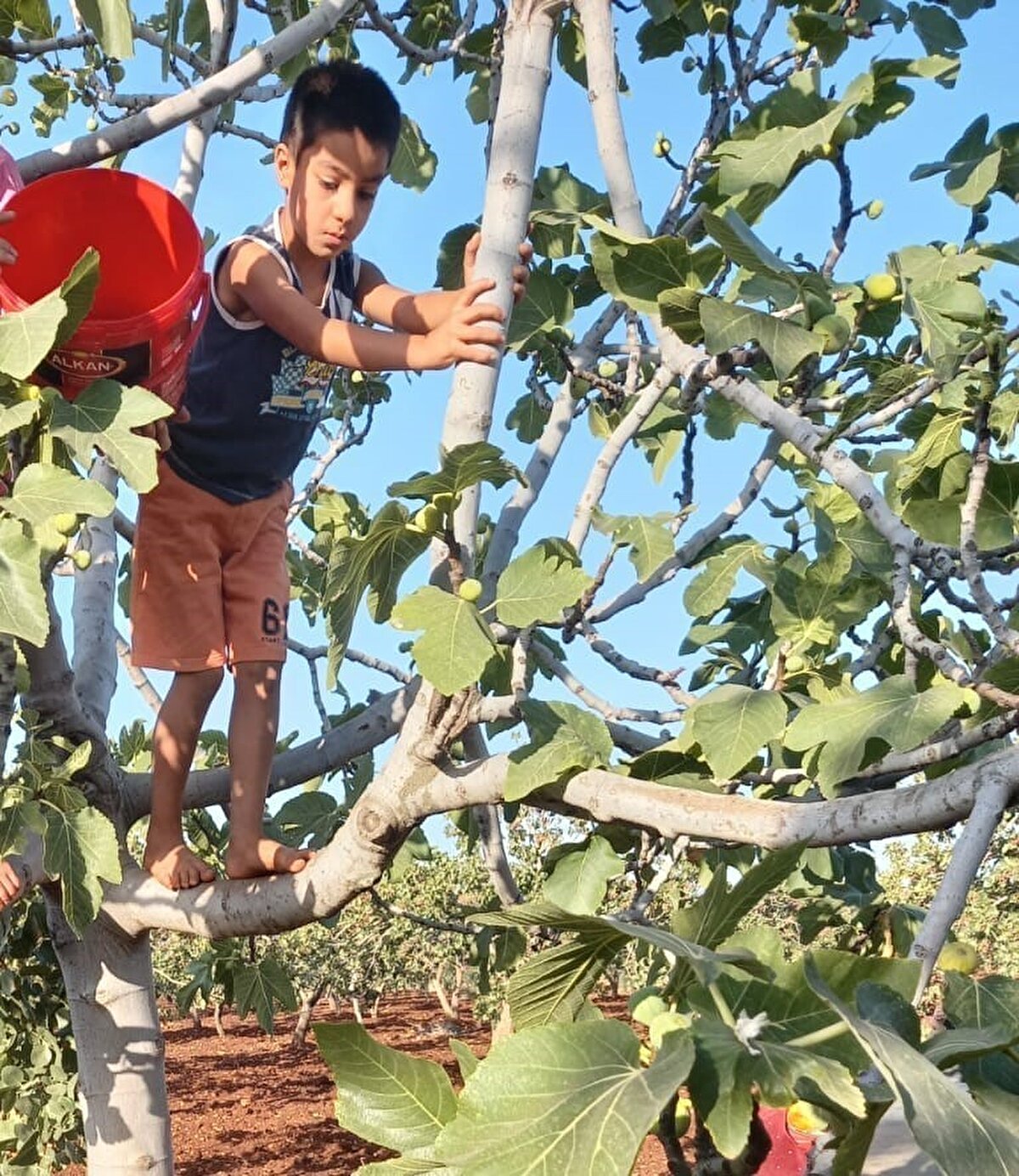 Gaziantep’in Araban ilçesinde 24 Mayıs 2025 günü ailesiyle fıstık bahçesindeyken kaybolan 10 yaşındaki otizmli Onurcan Özdemir’in cansız bedeni Fırat Nehri’nde bulundu.