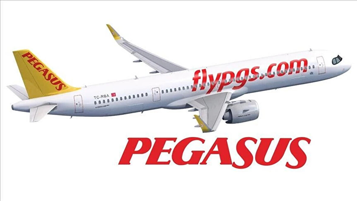 13. Pegasus Hava Taşımacılığı A.Ş. (PGSUS)<br><br>Yatırımcı sayısı<br>363.779
