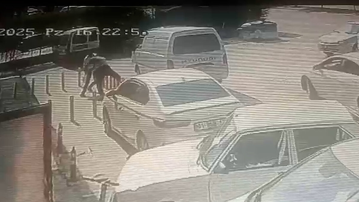 Bu sırada kimliği belirsiz bir kişi, yanına yaklaştığı K.D. ile selamlaşıp, tokalaştı.