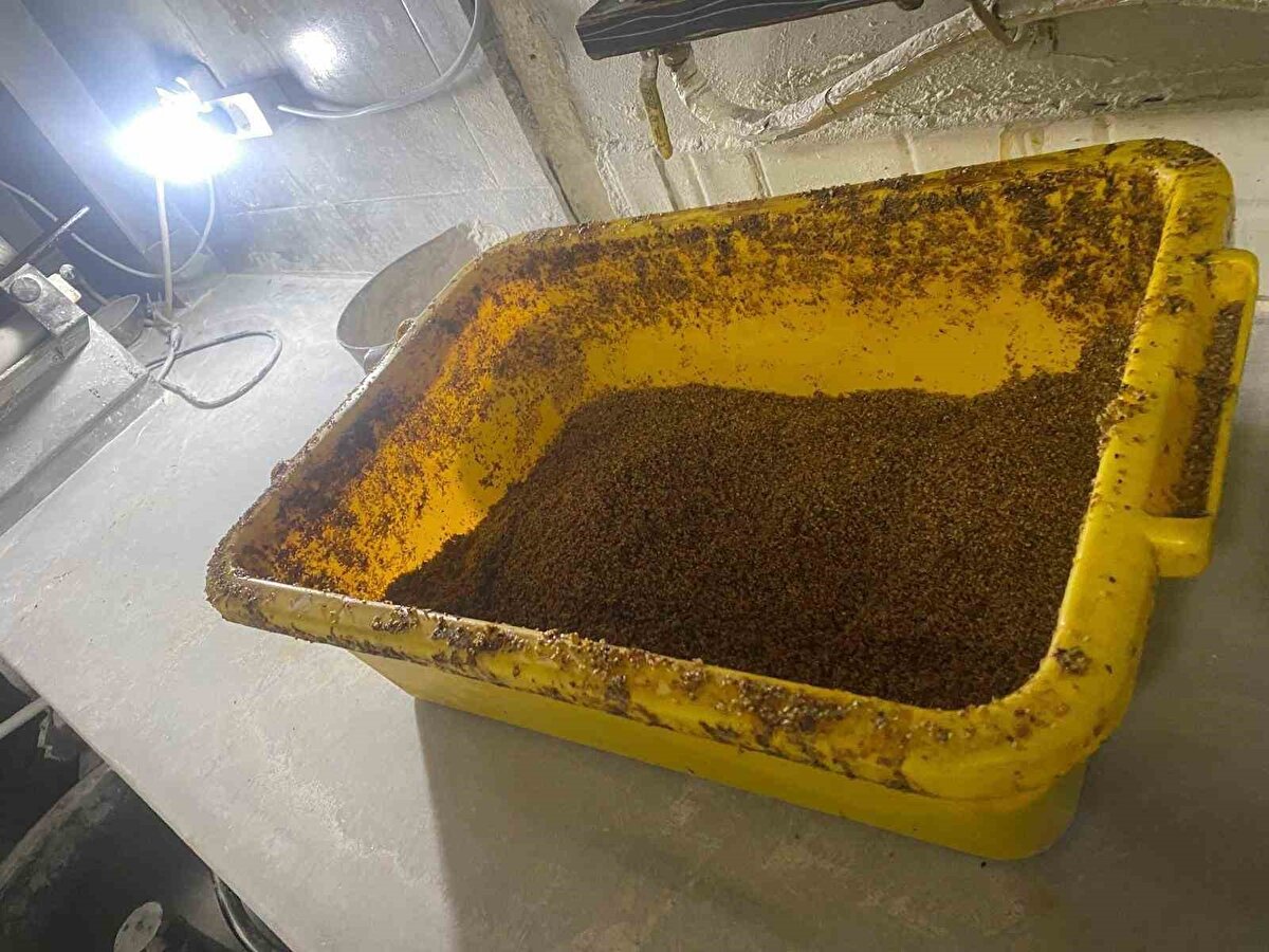 "Zabıta Müdürlüğü ekiplerimiz tarafından yapılan denetimler sonucunda, hijyen kurallarına uymadan üretim yaptığı tespit edilen bir simit fırını belirlenmiştir. Halk sağlığını tehdit eden bu işletme hakkında yasal işlemler derhal başlatılmış olup, fırın mühürlenecektir. Her zaman vurguladığımız gibi, bizim için en öncelikli konu insan sağlığıdır. Bu doğrultuda ilçemizdeki denetimler her alanda artırılacak; daha sağlıklı, düzenli ve yaşanabilir bir kent için çalışmalarımız kararlılıkla sürdürülecektir."