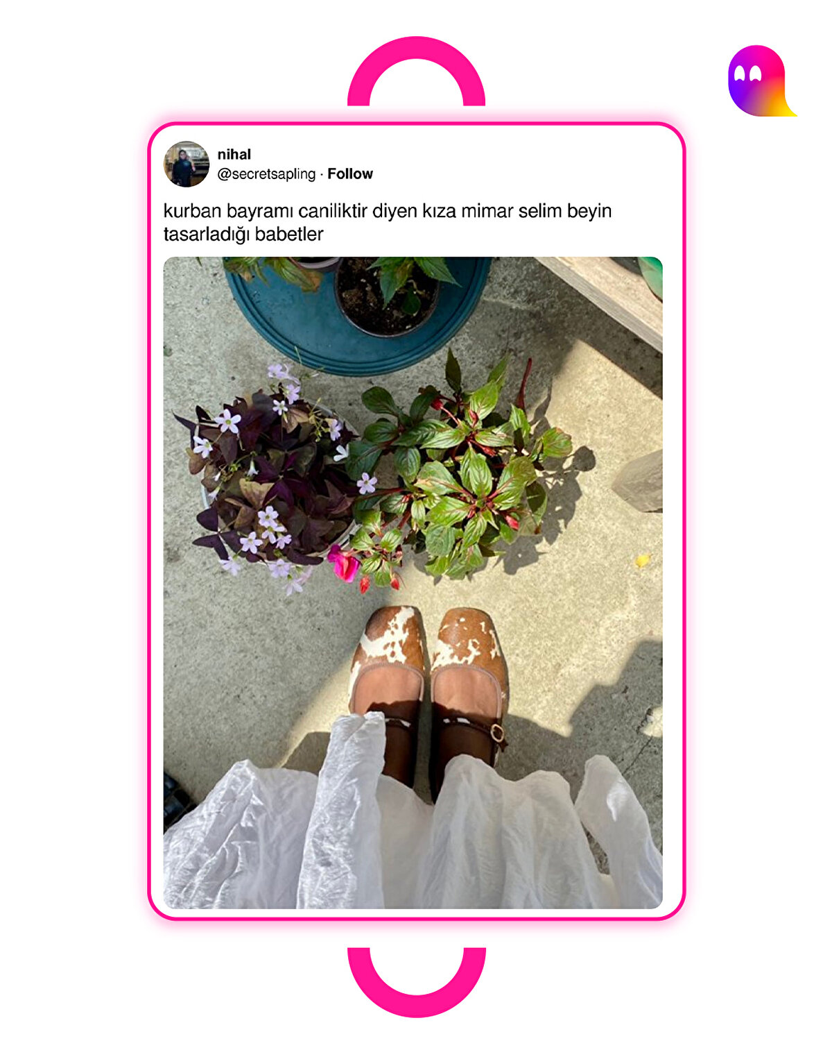 Selim Bey kalk büyüğün geldi