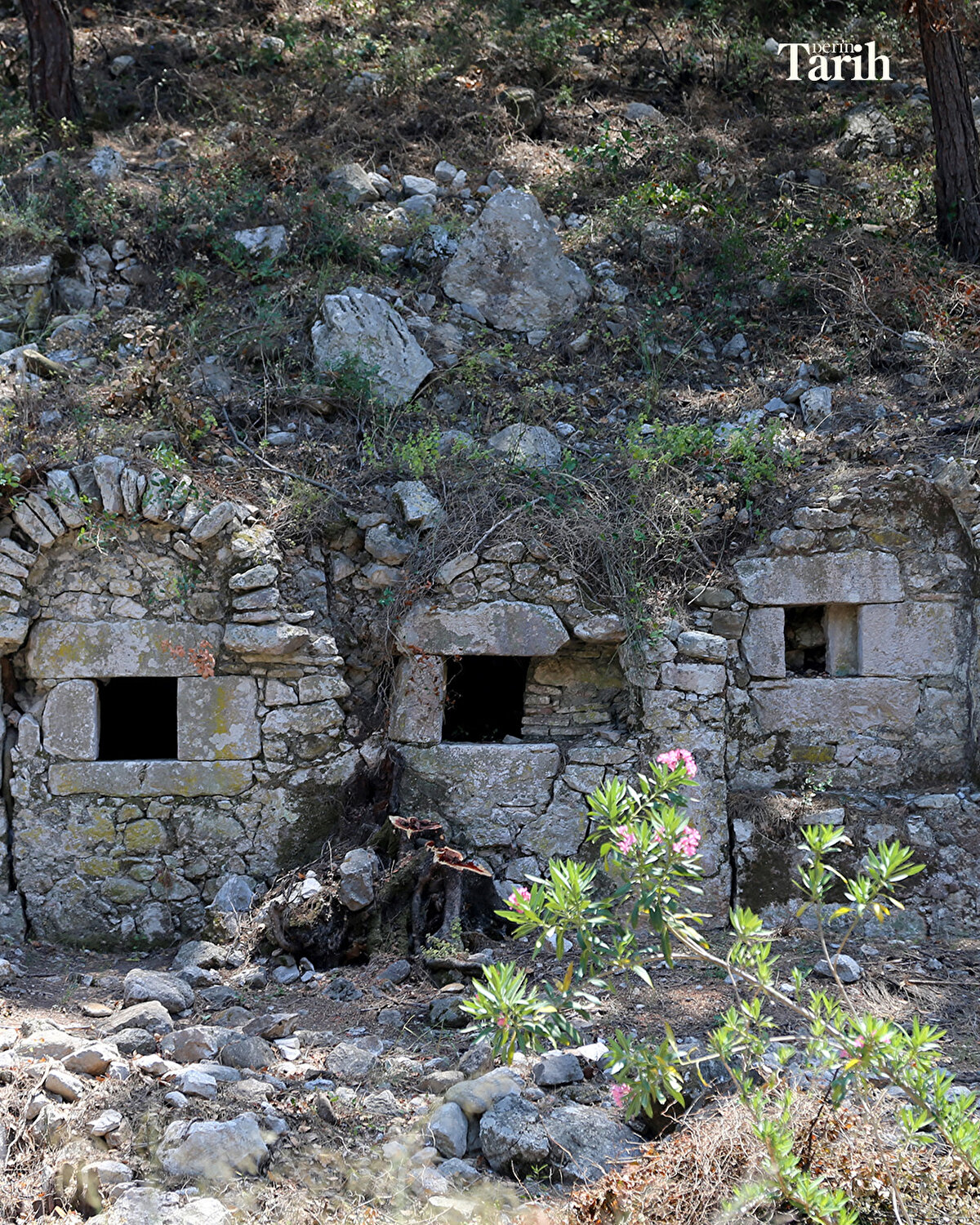 Patikaların düzenlenmesiyle kaya mezarların yeni yürüyüş güzergahına dahil edildiğini kaydeden Öztaşkın, "Bu sene bitki temizliği yürüttük ve yamaca 3-4 sıra halinde yükselerek yerleşen tonozlu mezar odalarını açığa çıkardık. Bunlar aşağı yukarı 400 metre boyunca ilerleyen oldukça geniş bir mezarlık. Burada hem tonozlu mezarlar var hem daha büyük boyutlu içerisinde lahit bulunan oda mezarlar var." diye konuştu.