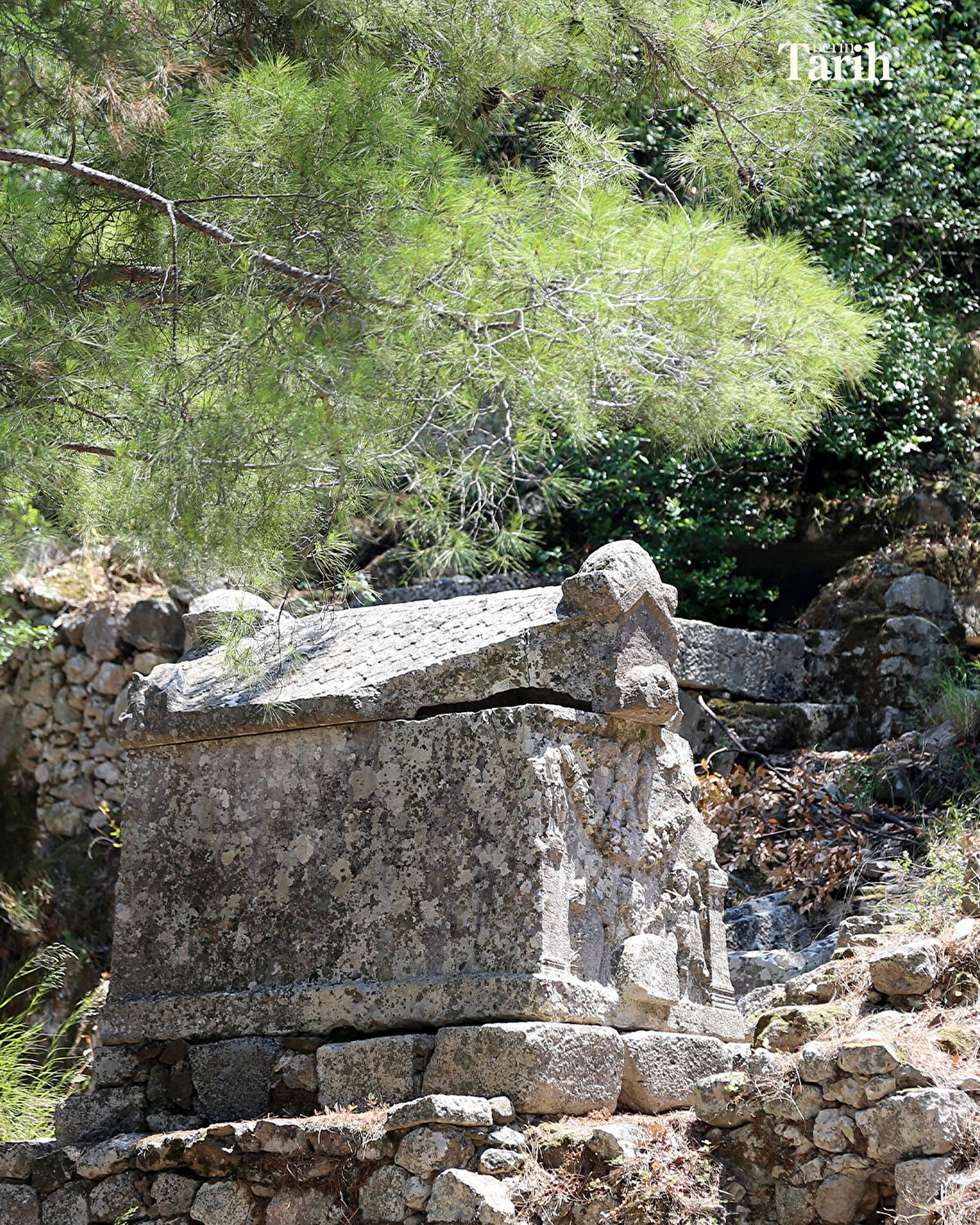 "Ya da buraya Roma döneminde asker olarak gelip görev yapan kişilerin de mezarları var. Dolayısıyla elde ettiğimiz veriler kentin demografik yapısına dair bizlere yeni bilgiler sunuyor." ifadelerini kullandı.