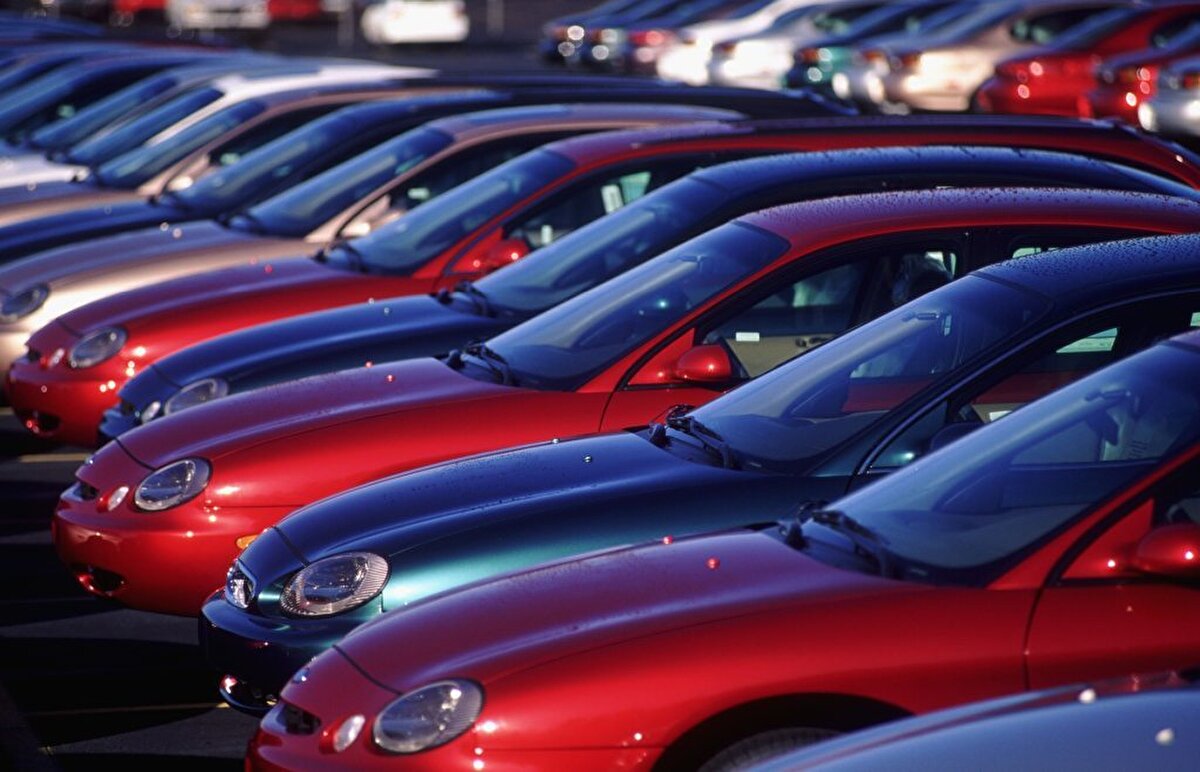 Onu yüzde 33,8 ile yeşil ve yüzde 31,9 ile kahverengi takip ediyor.