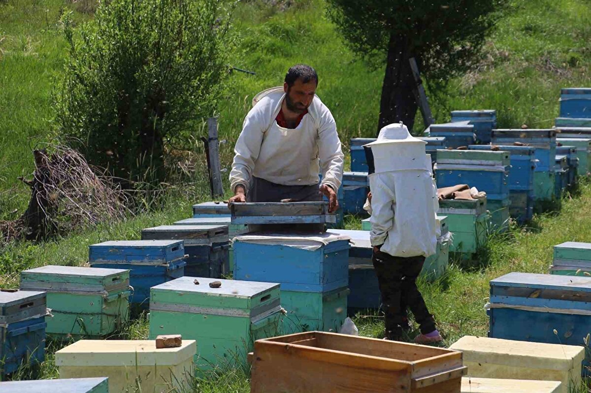 Bir çay kaşığı arı ekmeğinin yaklaşık 1 kilogram ete eşdeğer miktarda protein barındırdığını ifade eden bal üreticileri, diyet yapan bireyler ve çocukların gelişimi için destekleyici gıda olarak sıkça tercih edildiğini söylüyor. Birçok hastalığa iyi geldiği iddia edilen arı ekmeğinin bir kilosu 3 bin liradan alıcı buluyor. 25 yıldır arıcılık yapan Engin Ekinci, "Son yıllarda ise arı ekmeği yerli arıcılarımız tarafından üretiliyor" şeklinde konuştu.