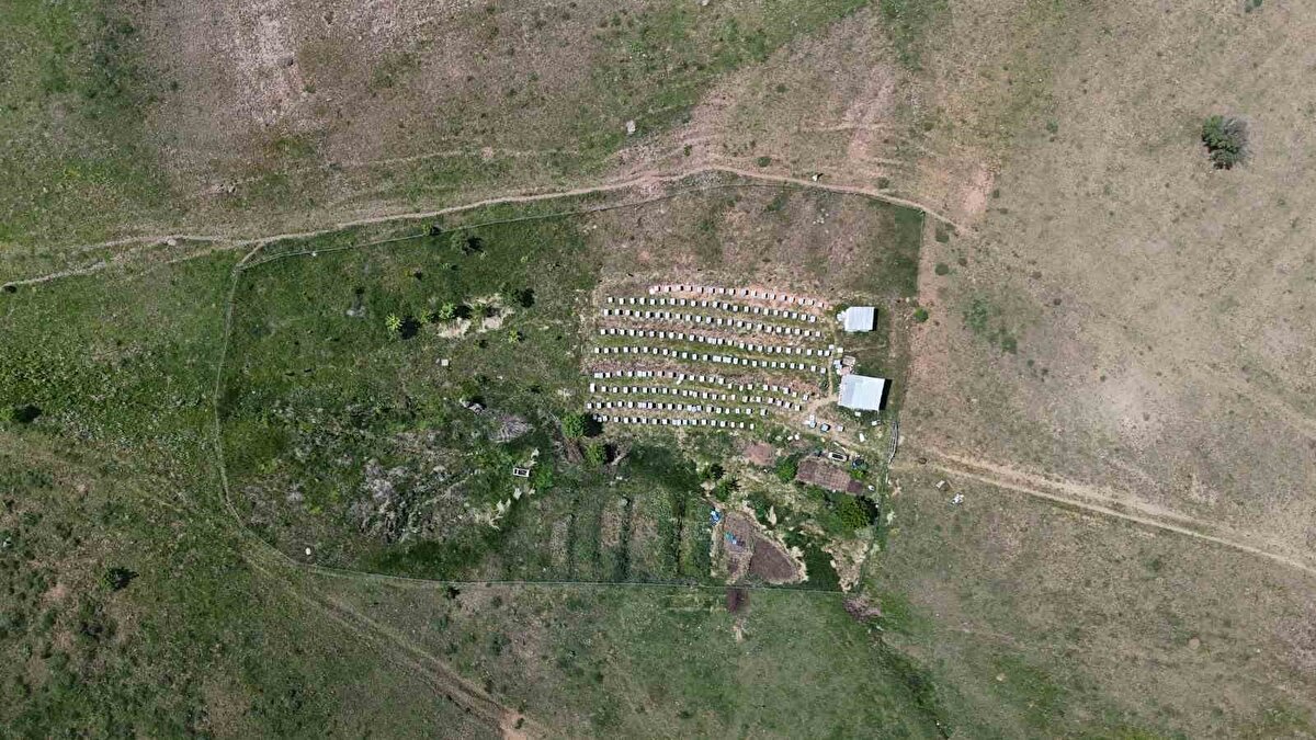 "Birkaç yıl önce çöp olarak atılıyordu"<br><br>Arı ekmeği üretiminin son yıllarda arttığını ifade eden Ekinci, "Arı ekmeği olmazsa arı olmaz. Arıların ve tabiatın ham maddesidir. Arılar çiçekleri ve bitkilerin polenlerini kovanlarına bacaklarında getirerek kendi enzim ve salgılarını katarak bu yiyeceği üretiyorlar. İçerinde yaklaşık olarak 22-23 çeşit amino asit barındırıyor. Protein açısından da oldukça zengin. Bir çay kaşığı arı ekmeği 1 kilogram et ile eşdeğer proteine sahip. Akciğer hastalıkları, prostat, eklem ağrıları gibi birçok hastalığa da iyi gelmesi ile biliniyor. Arı ekmeğinin kilogram fiyatı 3 bin lira. Birkaç yıl önce arı ekmeğinin üretim yapılmıyordu bu çöp olarak atılıyordu. Son yıllarda ise arı ekmeği yerli arıcılarımız tarafından üretiliyor. Diyet yapan insanlar için çocukların gelişimi için de önerilen şifa deposu bir besin. Birçok farklı çiçekten oluşan çok şifalı bir besin" dedi.