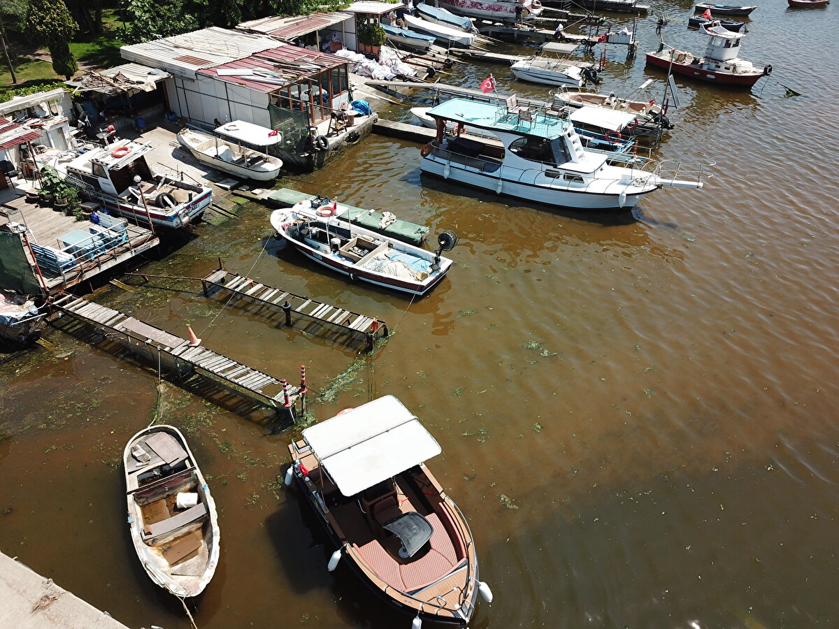 Ciddiye alınması gerekiyor<br><br>Bu oluşumların insan sağlığına doğrudan bir zararı olmadığını söyleyen Prof. Dr. Ergül, "Ancak oluştukları zaman, bulundukları ekosistemdeki diğer organizmaları etkileyebiliyorlar. Daha önce yaptığımız bir çalışmada balıkların besin olarak tükettiği amphipodların solungaçlarını tıkadıklarını ve ölümlerine neden olduklarını görmüştük. Dolayısıyla zincirleme birbirini etkileyen, ekosistem tahribatlarına neden olması bakımından bu oluşumların zararlarıyla yüzleşiyoruz. İnsanların doğrudan tedirgin olmalarını gerektiren bir hal yok ama hem görsel olarak hem de biraz evvel bahsettiğim ekosistemdeki tahribatlar nedeniyle ciddiye alınması gerekir" dedi.