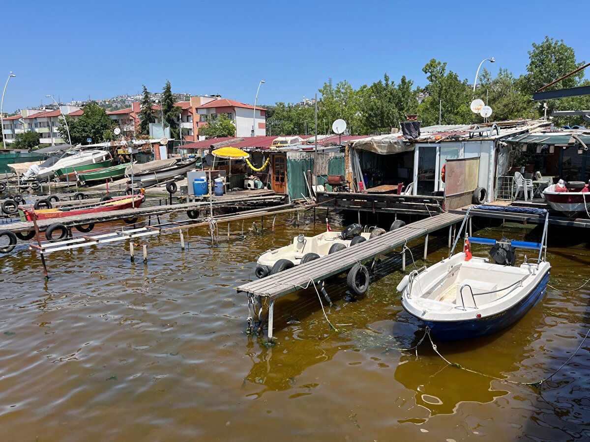 İzmit Körfezi'nin bir bölümü, kahverengiye büründü. İzmit ilçesindeki kıyı şeridinde yakın noktalardaki renk değişimi geniş bölgede etkili oldu. Kocaeli Büyükşehir Belediyesi Çevre Koruma ve Kontrol Dairesi Başkanlığı'na bağlı ekipler, yaşanan renk değişiminin nedenini belirlemek için çalışma başlattı. Sudan alınan numuneleri inceleyen KOÜ Fen Edebiyat Fakültesi Biyoloji Bölümü Öğretim Üyesi Prof. Dr. Halim Aytekin Ergül, oluşumun dünyadaki birçok kıyı ekosisteminde rastlanılan bir durum olduğunu belirtti.