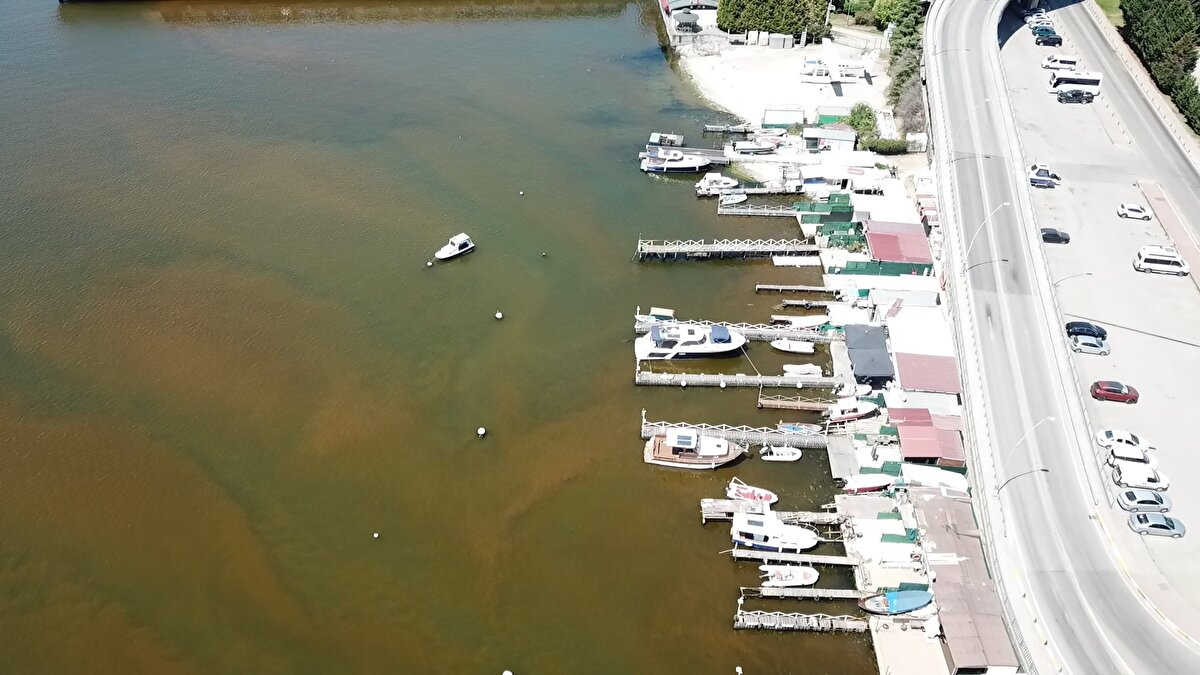 Müsilaj yorumu<br><br>Müsilaj ile ilgili de açıklamalarda bulunan Prof. Dr. Ergül, "Prorocentrum micans, müsilaj oluşumuna katkı verdiği bilinen organizmalar arasındadır. O bakımdan da ön saflarda yer alan bir organizma olmamakla birlikte, bu oluşuma katkı veren organizmalardan bir tanesidir. Dolayısıyla bu oluşumların engellenebilmesi için mümkün olduğu kadar aktif faaliyet gösterilmesi gerekir. Atık su arıtma tesislerinin etkin çalıştırılması ve ileri teknolojiyle donatılması gerekir" diye konuştu.