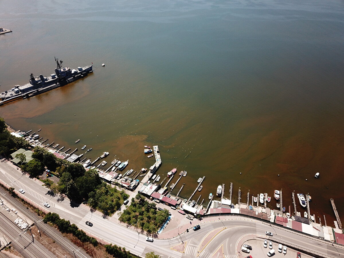 Prof. Dr. Halim Aytekin Ergül, "İncelediğimiz örneklerde gördüğümüz kadarıyla bir fitoplankton grubu olan dinoflagellata türünün aşırı çoğalması nedeniyle meydana gelen bir hadise. Genellikle 'mevsim geçişi' diye tabir edilen, hava sıcaklıklarının, su sıcaklıklarının, rüzgar rejiminin değiştiği dönemlerde rastlanan bir oluşum. Teknik olarak sınırlı bir hacimdeki mikroorganizma sayısının, dinoflagellata sayısının artışını takiben gerçekleşen bir olay. Elbette istenen bir durum değil ancak İzmit Körfezi'nde, Gemlik Körfezi'nde, benzer kıyı ekosistemlerinde zaman zaman rastladığımız bir oluşum. Elbette bu oluşumların ekosistemdeki diğer canlılara zarar verme potansiyeli var. Özellikle amphipodalar gibi daha çok planktonik veya makrobentik organizmaların bu işlerden zarar görmesi mümkün. O bakımdan istenmeyen olaylar gibi düşünebiliriz. Fakat kıyı ekosistemlerinde, kentsel deşarjların yoğun olduğu bölgelerde her ne kadar arıtma tesisleri iyi çalışıyor olsa da zaman zaman bu oluşumlara rastlıyoruz" dedi.