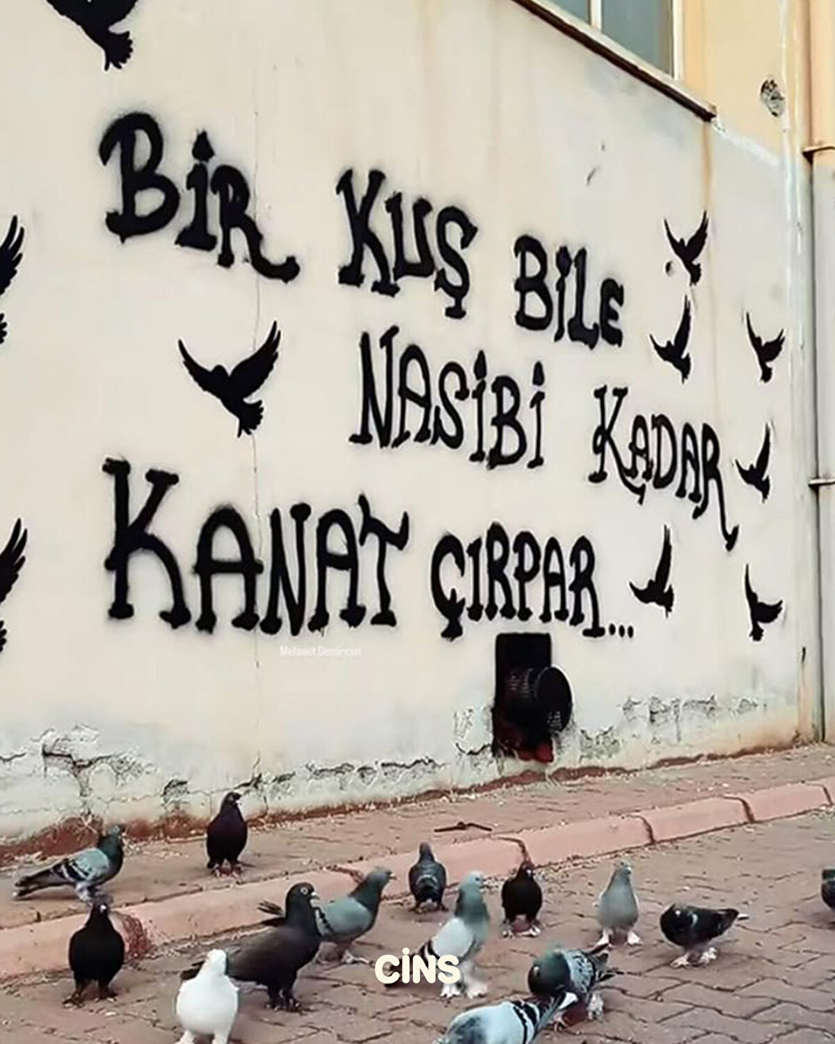 Bir kuş bile nasibi kadar kanat çırpar