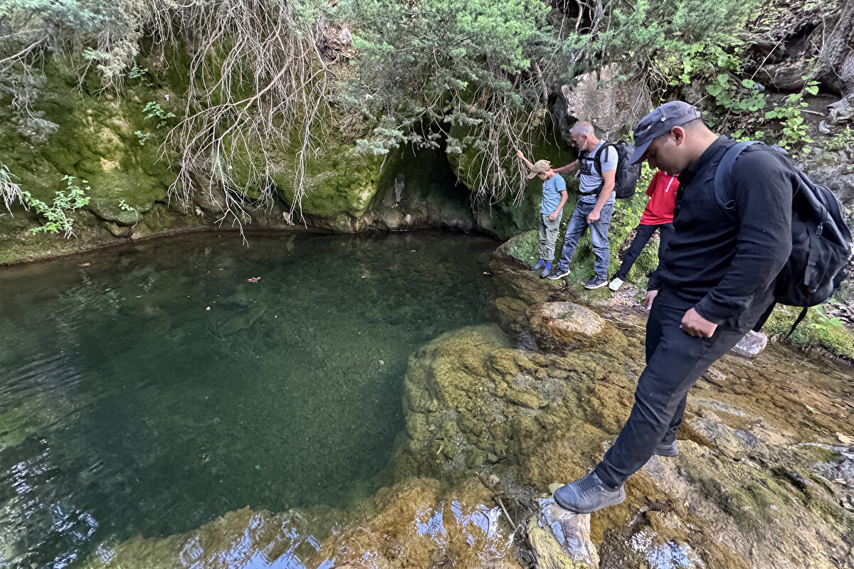 Bayet, AA muhabirine, sarı benekli semenderleri ilk olarak mayıs ayının ilk haftasında Güzelce mezrası kırsalındaki dağlık ve ormanlık alanda yer alan şelale ve göleti görmeye gittiğinde fark ettiğini söyledi.<br><br>Göletin suyuyla yüzünü yıkamak istediği esnada su altındaki semenderleri gördüğünü ifade eden Bayet, "Buradaki köy halkı bunların sarı benekli semender olduğunu bilmiyordu, ben onlara nesli tehlike altındaki bir tür olduğunu söyleyene kadar. Durumu anlattıktan sonra köy halkı buraya daha da önem verdi, sarı benekli semenderleri koruma altına aldı. Özellikle hayvanlarına su vermeye gelen çobanlara karşı korumayı aldılar." diye konuştu.