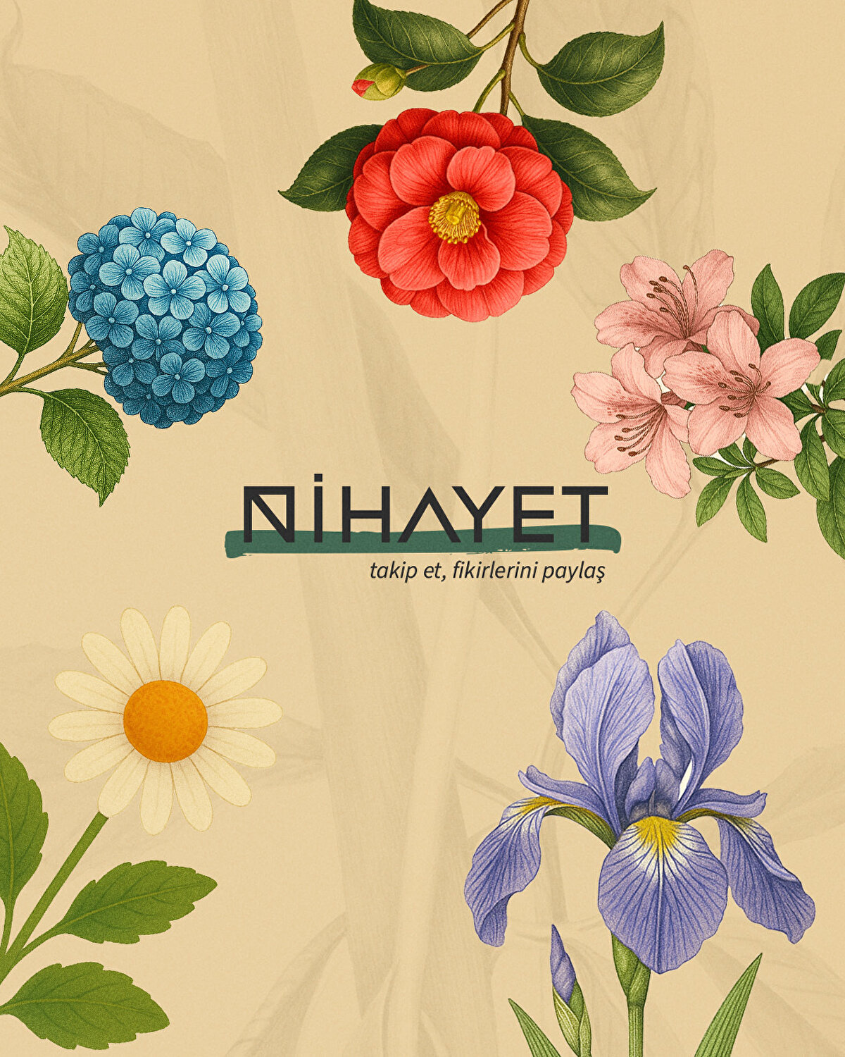 Nihayet'i takip etmeyi unutmayın