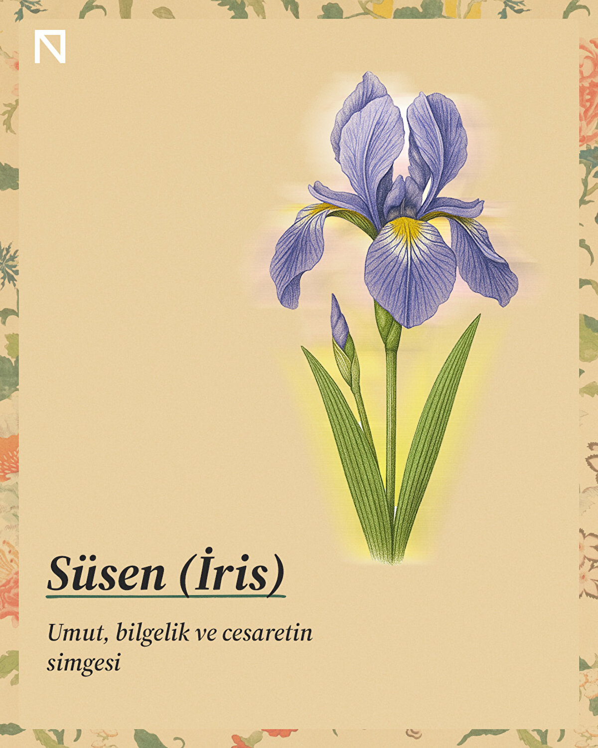 Umut, bilgelik ve cesaretin simgesi