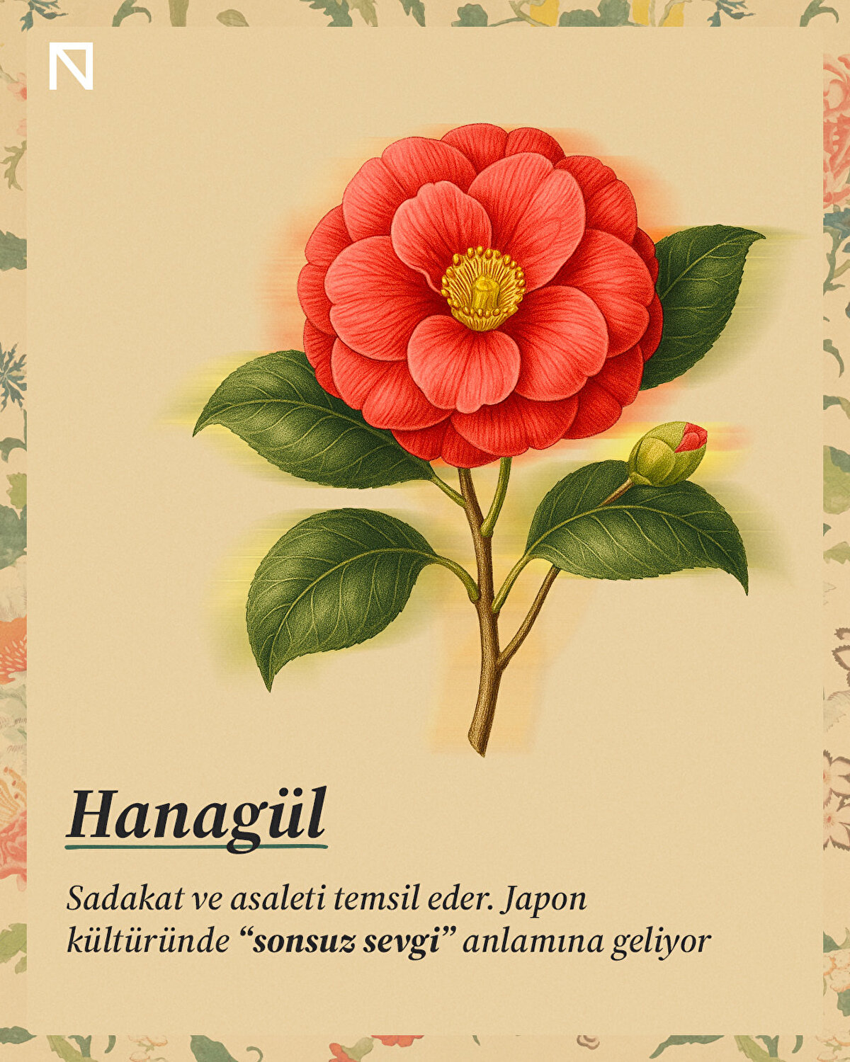 Sadakat ve asaleti temsil eder. Japon kültüründe “sonsuz sevgi” anlamına geliyor