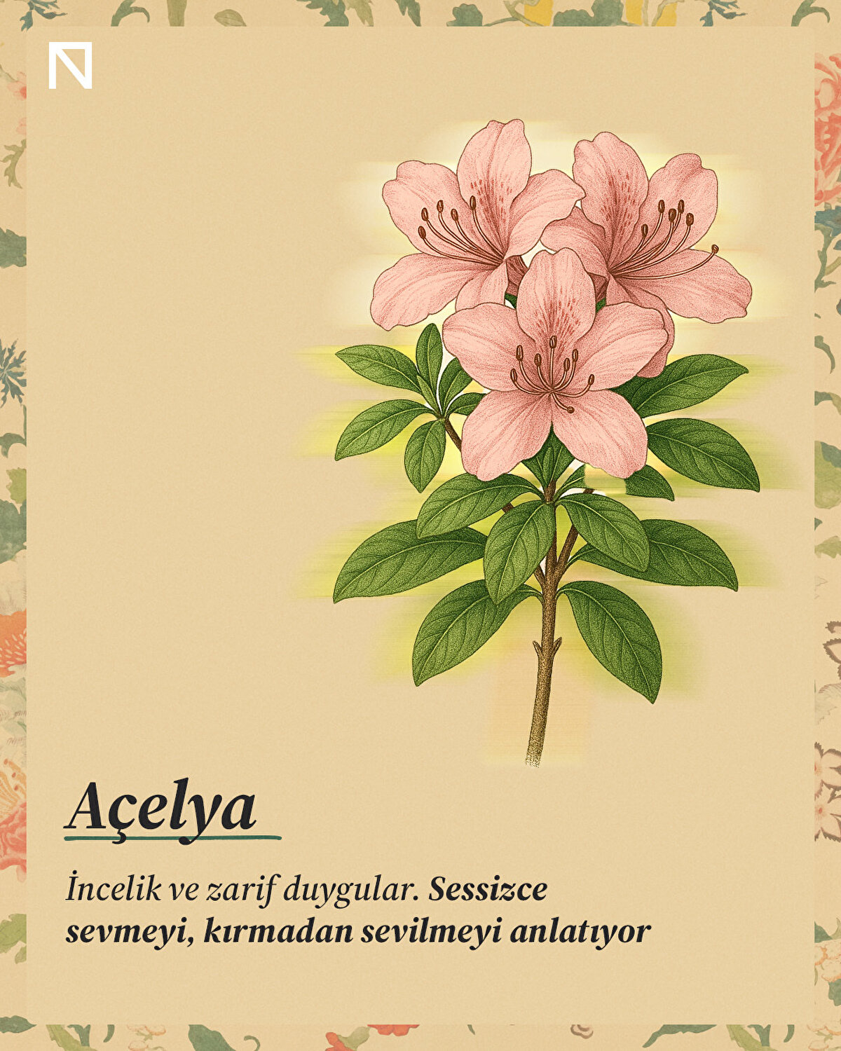 İncelik ve zarif duygular. Sessizce sevmeyi, kırmadan sevilmeyi anlatıyor