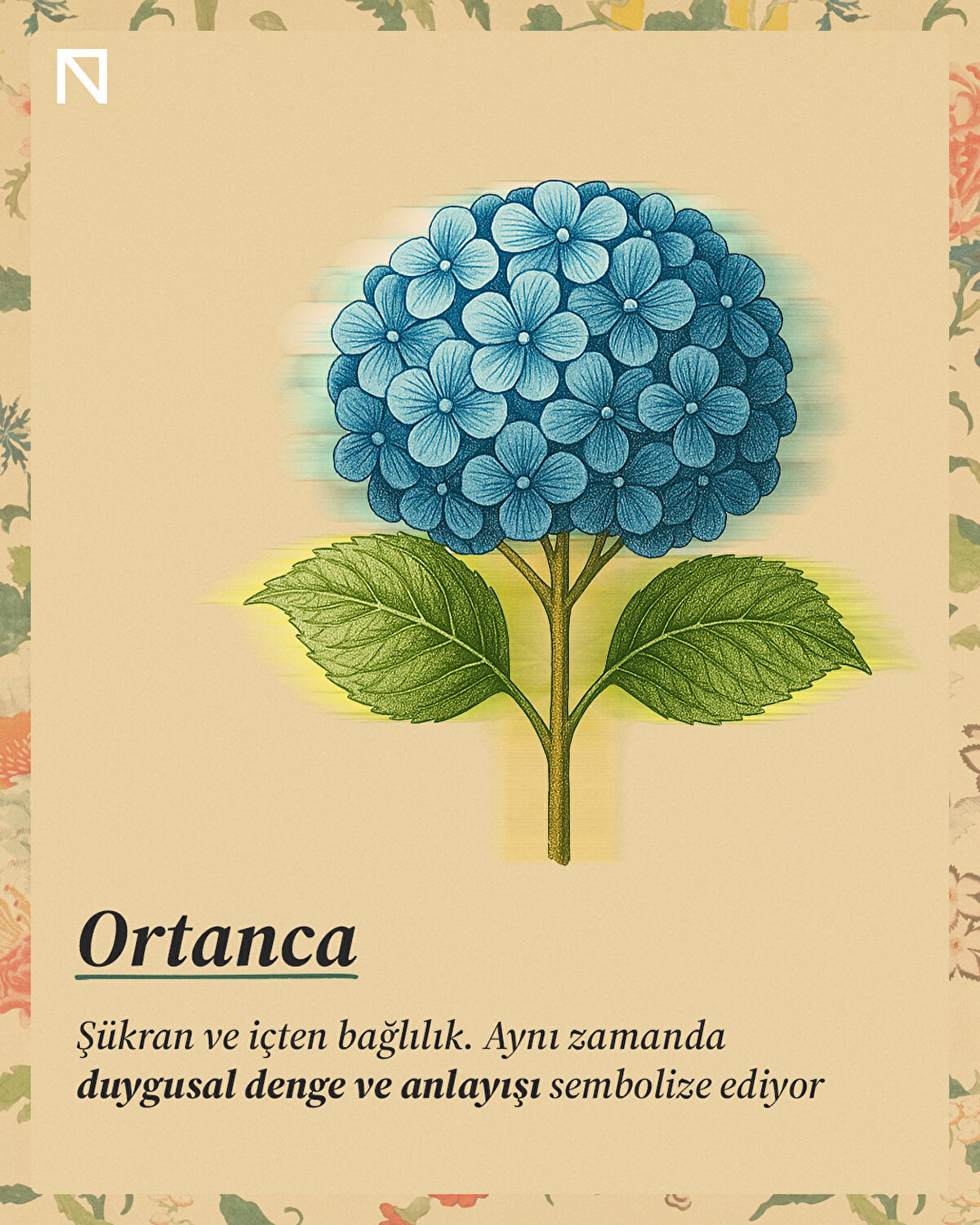 Şükran ve içten bağlılık. Aynı zamanda duygusal denge ve anlayışı sembolize ediyor