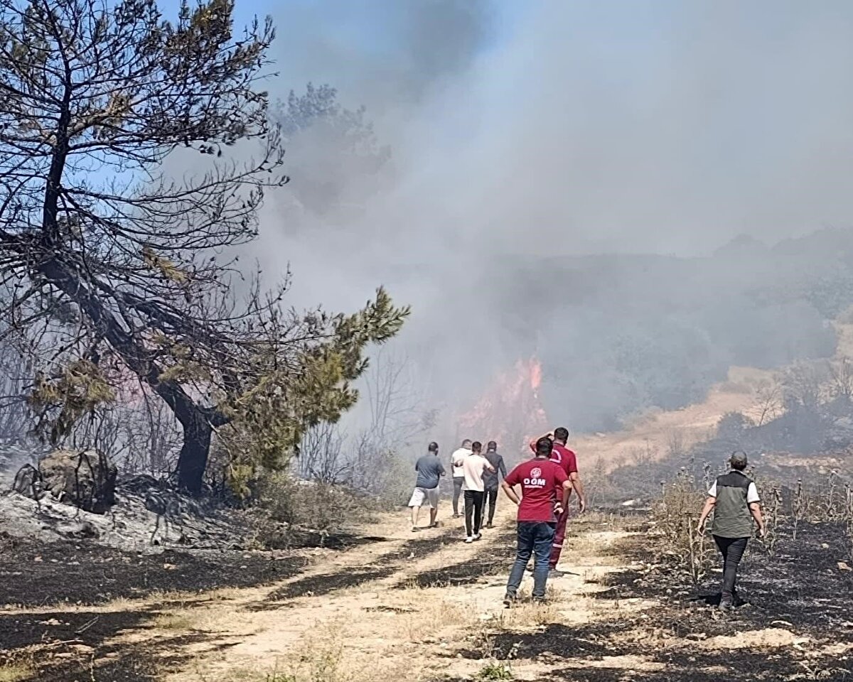 Olayla ilgili Neriman A. isimli kadın gözaltına alındı. İfadesi alınan kadın, suçunu itiraf etti.