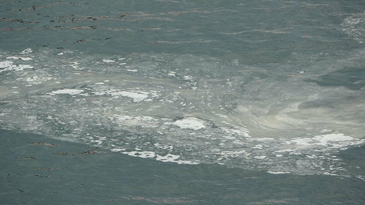 Önümüzdeki süreçte de müsilaj oluşturan organizmaların yoğunluğunu artırmaması için gereken tedbirlerin alınması, uzun süreli takibimizde ve kontrolünde oldukça değerli" dedi.