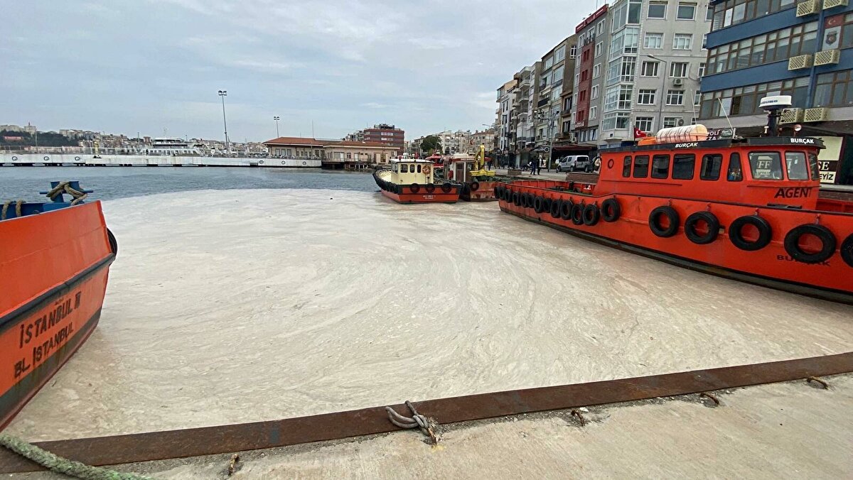 Kalıcılığını süreç içerisinde değerlendirip, çalışmalarımıza devam edeceğiz. Hem fizikokimyasal parametreleri sucul sistemde takip etmeye devam edeceğiz hem de organizmaların yoğunluklarını takip etmeye devam edeceğiz.