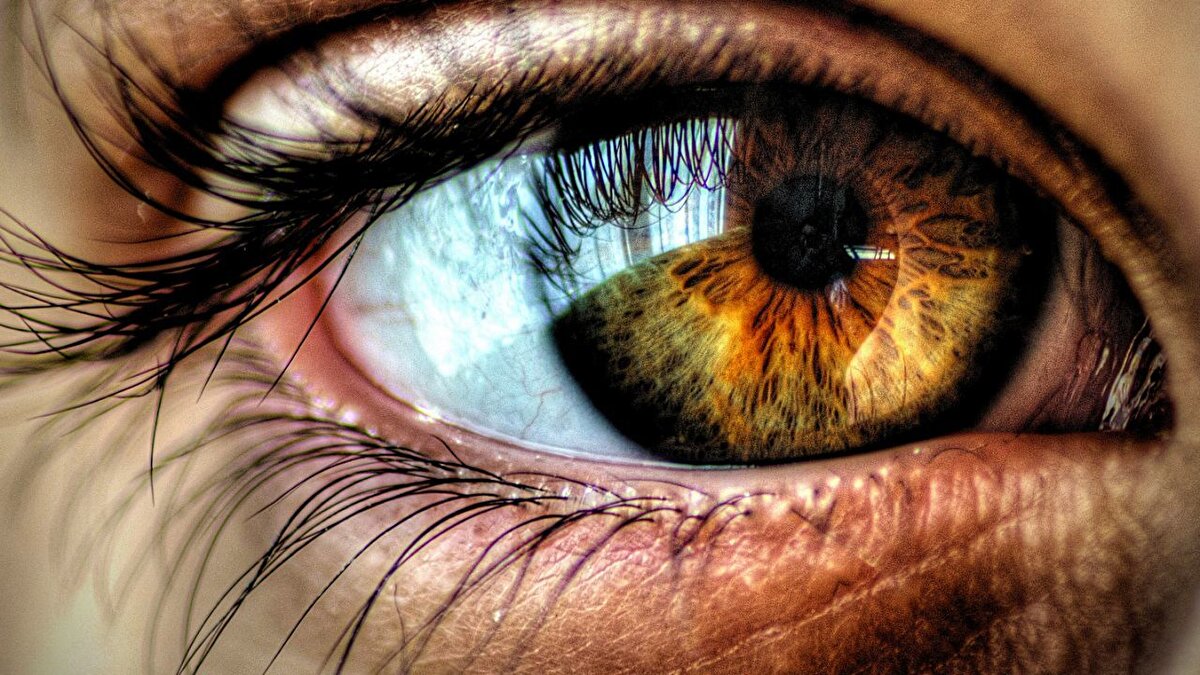 İnsan gözü mükemmel bir mühendislik harikasıdır. Sadece yüksek çözünürlük değil, aynı zamanda hızlı odaklama, geniş dinamik aralık ve olağanüstü renk algısı ile gözlerimiz, herhangi bir dijital kameradan çok daha üstün bir görüntüleme sistemidir.