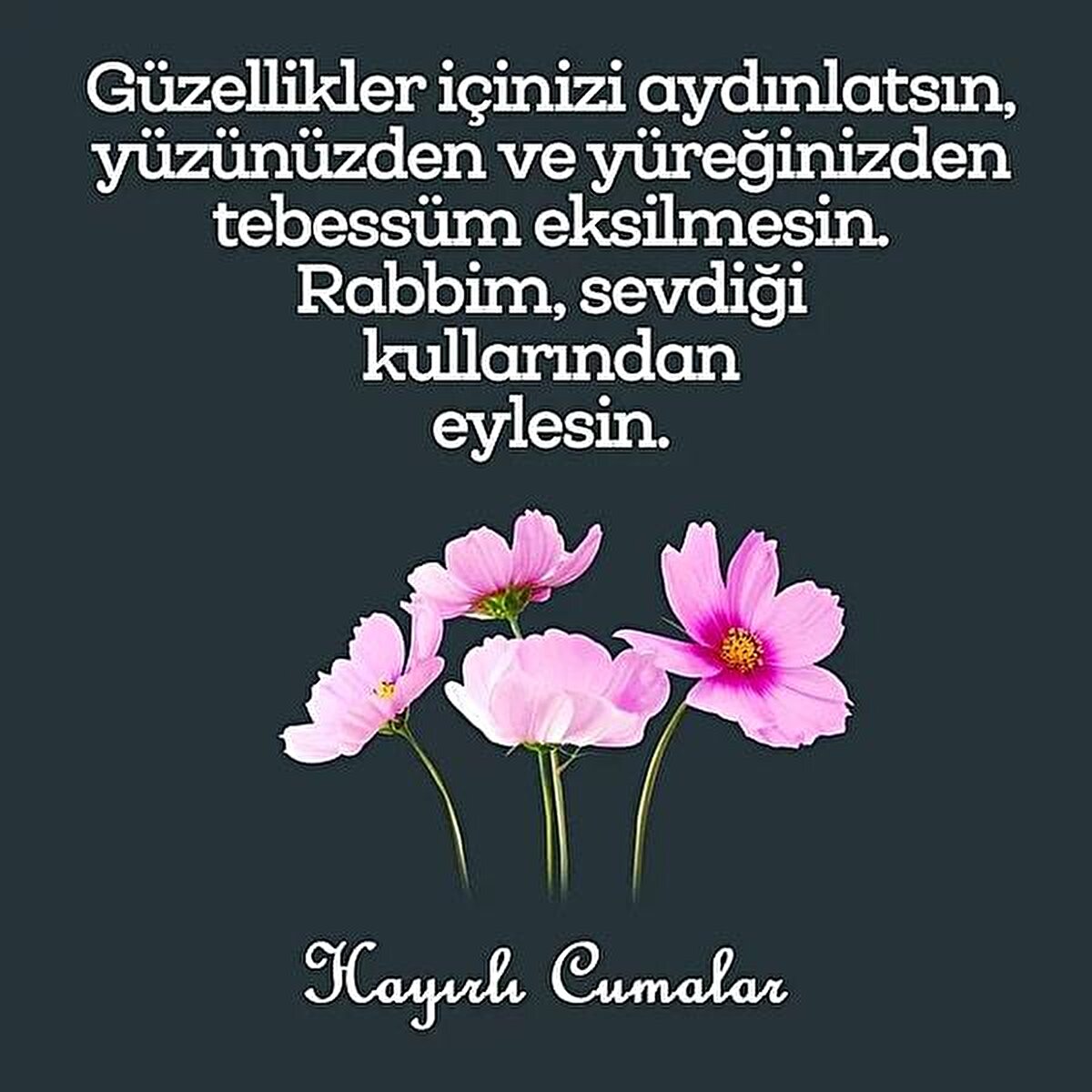 Mübarek Cuma gününü sevdiklerinizle paylaşmak ister misiniz? 27 Haziran 2025 Cuma günü için hazırlanmış en yeni, en özel ve en anlamlı Cuma mesajlarını sizler için derledik. Dualı, ayetli, hadisli ve resimli Cuma sözleri ile sosyal medya paylaşımlarınızı manevi bir dokunuşa dönüştürebilir, gönüllere hitap eden mesajlarla sevdiklerinizin kalbine dokunabilirsiniz. Bu özel günde paylaşabileceğiniz kısa, anlamlı ve özgün Cuma mesajlarını sizler için derledik. İşte 27 Haziran 2025'e özel, yeni Cuma mesajları.