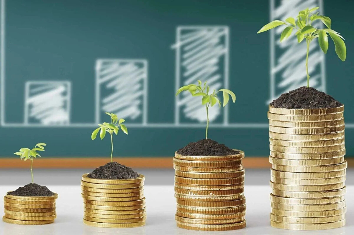 <br><br>HİSSE SENEDİ FONLARI<br><br>Kategorilerine göre bakıldığında, yatırım fonları arasında en çok kazandıranlar yüzde 2,91 ile "hisse senedi" fonları oldu.<br>