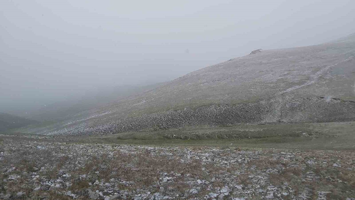 Dün 24 derece olarak ölçülen en yüksek sıcaklık, ani bir değişimle 4 dereceye kadar geriledi. Özellikle sabah saatlerinde etkili olan kar yağışı, zirvelerde lapa lapa yağarken, kent merkezinde de soğuk hava hissedilir biçimde kendini gösterdi. Hava sıcaklığı şehir merkezinde de 10 dereceye kadar düştü. Birçok sanatçı tarafından seslendirilen Gümüşhaneli şair Hışır Osman Nebioğlu’nun "Yazın yağar kar başıma" türküsünün gerçeğe dönüştüğü o anların görüntüsü sosyal medyada da büyük ilgi gördü.