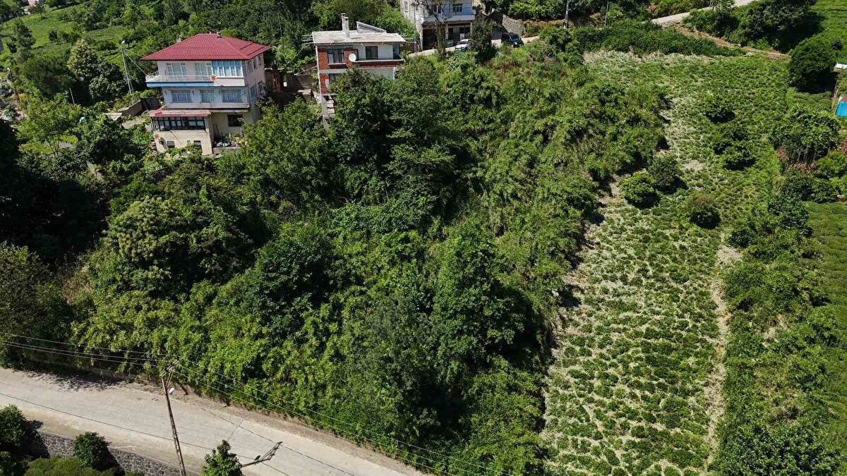 Kamışların giderek arttığını, kendilerini ise yılan korkusu sardığını ifade eden mahalle sakini Hayriye Kaya; "Bu evimizin içine kadar giriyor. Kapıları açık bırakamıyoruz, yılandan korkuyoruz. Uğraşıyoruz bununla, bahçe yapamıyoruz. Çok önceden ilaçlanmıştı ondan sonra ilacı yasaklandı. Bu işe büyüklerimiz bir el atmadan burası temizlenmez. Baş edemedik yani, bu artıyor gittikçe daha çok artıyor. Bunu eskiler Rusya’dan götürdüler. Mürekkeple kalem ediyorlardı, yazıyorlardı. Şimdi her yer kamış oldu. Her yere geçiyor. Bizim köyde 3-4 yerde var. Kimse baş edemiyor bir kaç sene sonra köy kapanır yani" dedi.