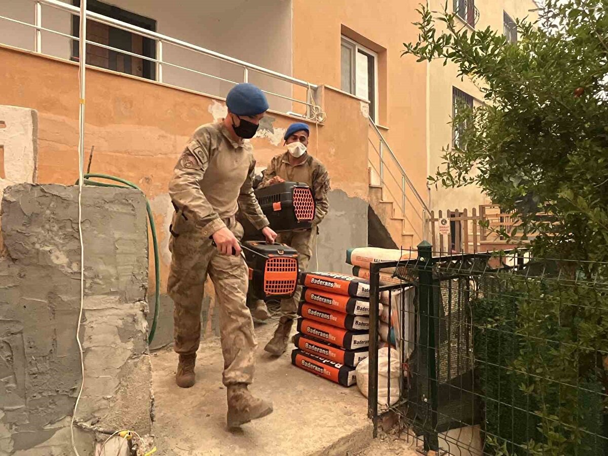 Araçlarına binen vatandaşlar mahalle çıkışında adeta konvoy oluşturdu. Jandarma ekipleri ve mahalle sakinleri geçişleri güvenli bir şekilde sağladı. Öte yandan jandarma ekipleri evlerde kalan hayvanları da kurtardı.