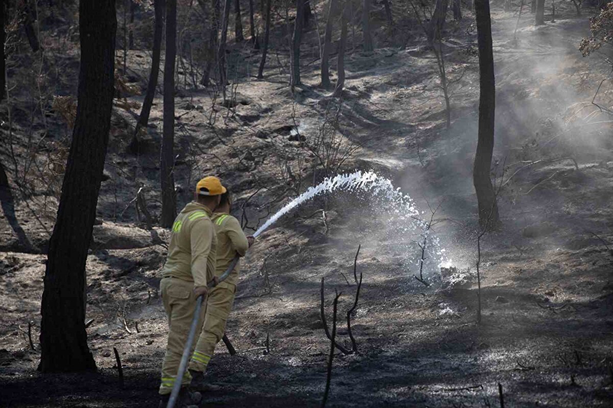 "Yangının ardından yakınımı traktör kazasında kaybettim"<br>Yangınla ilgili konuşan Bulut, "Ben 63 yaşına geldim, hayatımda hiç bu büyüklükte bir yangın görmedim. Bu bir afet, yangın değil. Acım gerçekten çok büyük; 8-10 dönüm buğdayım yandı, su motorlarım yandı, borularım yandı. Ve asıl acısı ise traktör kazasında yakınımı kaybettim. Çok acı bir olay, yangın 2’nci günü meydana gelen kazada kaybettim. Bugün cenazesini toprağa verdik. Aynı köyde oturuyoruz, yangın esnasında köyü boşaltmamız gerekiyordu ve o esnada traktörü kullanmayan kişi, traktör kullanmak zorunda kaldı. Araziden çıkmak için ölen kişi çocuğuna traktörü verdi ve olay bu şekilde gerçekleşti. Yangının ardından ikinci bir acıyı da böyle yaşamış olduk" dedi.