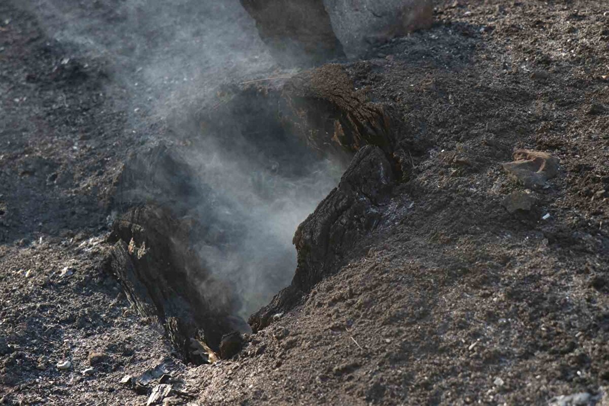 Kuş yuvası ve kaplumbağa da kurtarıldı<br>Yangın söndürme çalışmaları esnasında Sakarya Orman Bölge Müdürlüğü ekipleri sadece alevlerle değil, doğanın sessiz sakinleriyle de ilgilendi. Ekipler, yangın alanında buldukları kuş yuvasını dikkatle tahliye ederken, bir kaplumbağayı da su verip güvenli bölgeye taşıdı.
