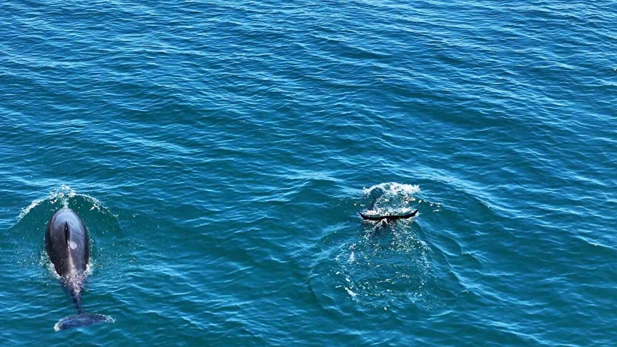 O anlar ise havadan çekilen görüntülere saniye saniye yansıdı.