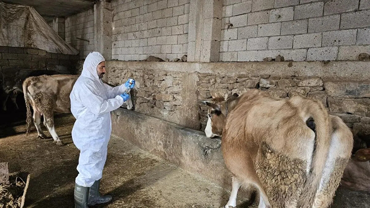 Kayseri Ticaret Borsası tarafından yapılan paylaşımda ise "Şap hastalığına karşı alınan önlemler kapsamında, İl Tarım ve Orman Müdürlüğü talebi ile Kayseri Ticaret Borsası Canlı Hayvan Pazarımız kapalı olacaktır" denildi.