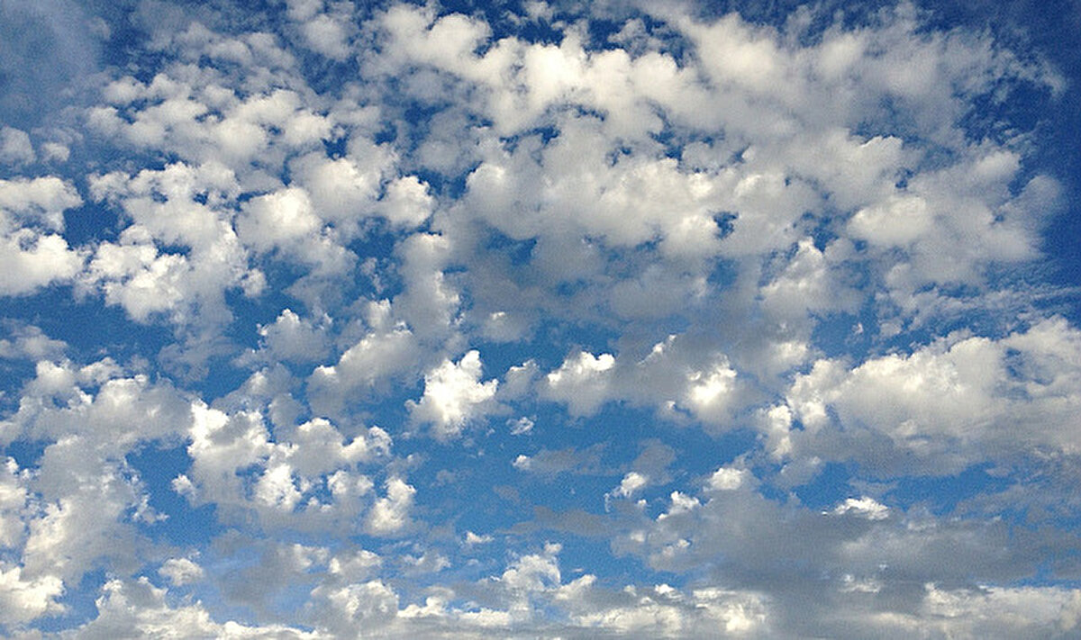 DOĞU ANADOLU<br><br>Parçalı ve az bulutlu geçeceği tahmin ediliyor. Rüzgarın, bölgenin güneybatısının kuzey ve kuzeybatı yönlerden kuvvetli ve fırtına (40-80 kmsaat) şeklinde esmesi bekleniyor.<br><br>ERZURUM 6°C, 24°C<br>Parçalı ve az bulutlu<br><br>KARS 5°C, 24°C<br>Parçalı ve az bulutlu<br><br>MALATYA 15°C, 32°C<br>Parçalı ve az bulutlu<br><br>VAN 13°C, 25°C<br>Parçalı ve az bulutlu