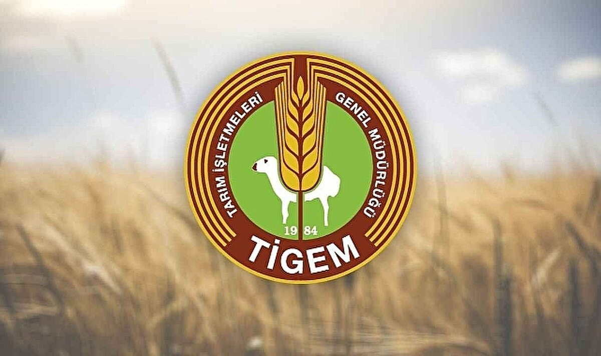 TİGEM yaklaşık 110 memur alacak<br><br>Tarım İşletmeleri Genel Müdürlüğü (TİGEM), tarım ve hayvancılık alanında uzman kadrolarla büyümeye devam ediyor. Kurumun, 2025/1 tercih döneminde yaklaşık 110 kişilik kontenjanla alım yapması bekleniyor.<br><br>Beklenen kadrolar:<br><br>Ziraat Mühendisi<br><br>Gıda Mühendisi<br><br>Veteriner<br><br>Tekniker (Ziraat, Elektrik, Tarım)<br><br>Düz Memur<br><br>Bilgisayar İşletmeni<br><br>Anbar Memuru<br><br>Teknisyen