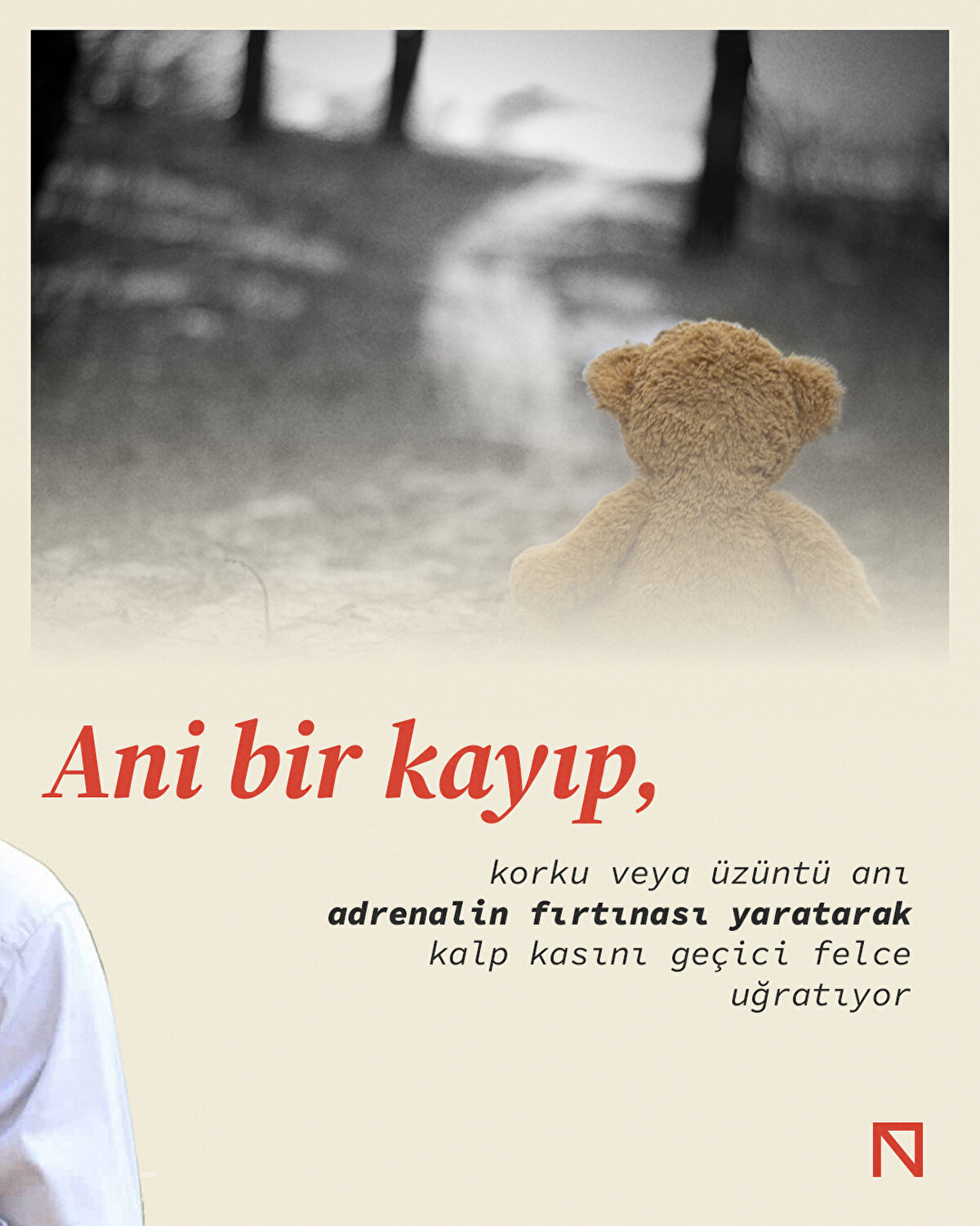 Patofizyoloji ve Risk Faktörleri<br><br>Ani adrenalin salgılanması, kalp kası hücrelerinde toksik etki yaratarak bölgesel kasılma bozukluklarına yol açar. Ayrıca mikrovasküler disfonksiyon ve otonom sinir sistemi dengesizliği; menopoz sonrası kadınlarda, hipertansiyon veya anksiyete geçmişi olan bireylerde riski artırır.