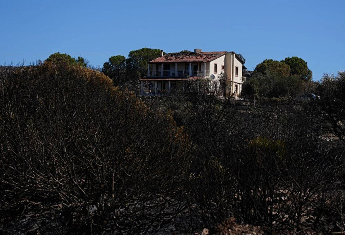 <br>ŞİDDETLİ RÜZGAR NEDENİYLE ELEKTRİK TELLERİNDEN YANGIN ÇIKIYOR<br><br>Yavuz, elektrik tellerinin şiddetli rüzgarın etkisiyle birbirine çarpmasının yangınlara neden olabildiğini anlatarak, "Her rüzgarda korkuyla yaşıyoruz. Ağaçları, ormanları, canlıları geri getirebilecek misiniz? Telleri yer altına almak, sağlıklı düzgün bir sistem getirmek basit değil mi? Artık bir şeylerin değişmesi gerekiyor." dedi.<br>