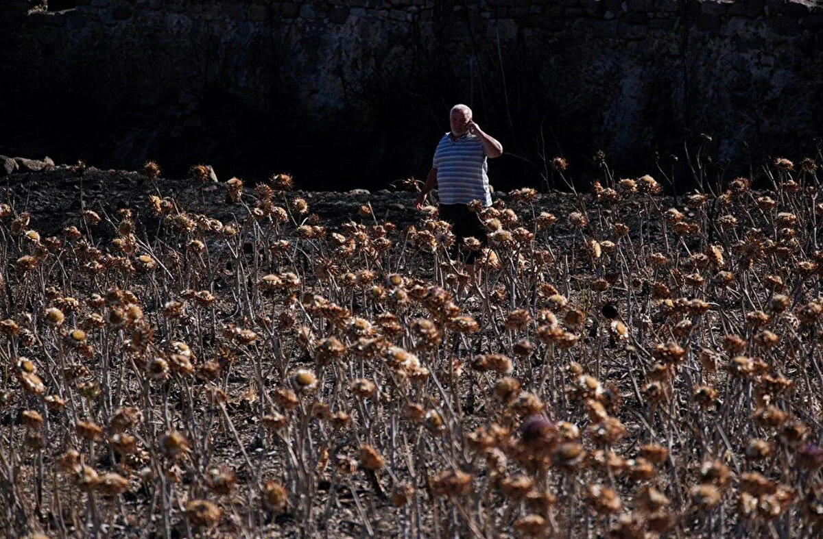 <br>TARLASINDAKİ BORULAR YANDI<br><br>Tarımla uğraşan Ersin Güvercin ise yangının rüzgarın etkisiyle bir anda büyüdüğünü, tarlasındaki hortumların, boruların yandığını kaydetti.<br>