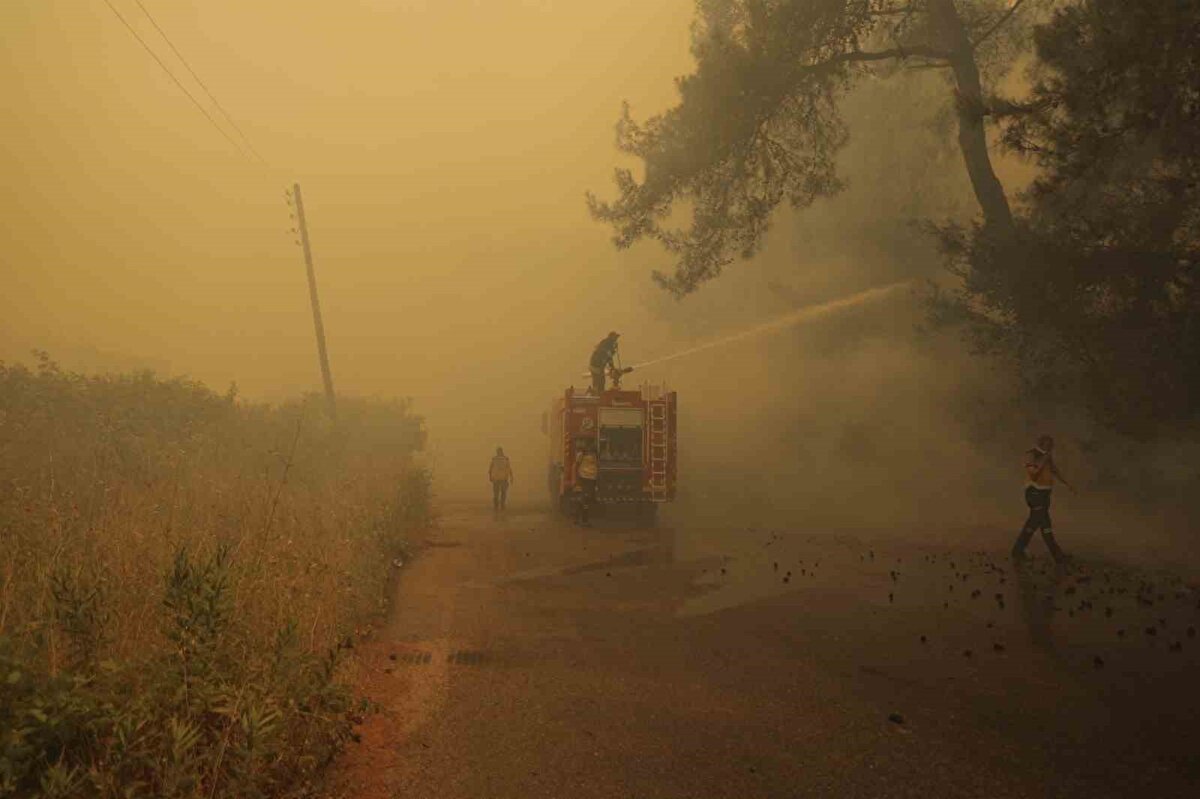 Yangınlarda bir gönüllünün boğulma tehlikesi geçirdiği, ekiplere ait bir aracın ise alev aldığı öğrenildi. Suriye Afet ve Acil Durumlar Bakanı Raid Salih yaptığı açıklamada, söndürme çalışmalarına destek amacıyla Türkiye’den yardım talep ettiklerini belirtti. Suriye Sivil Savunması ise iç savaş döneminden kalma patlamamış mühimmatların yangın bölgelerinde bulunmasından endişe edildiğini aktardı.