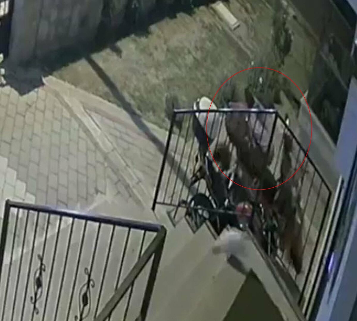 Yargılama devam ederken Tuğba Yavaş'ın düştüğü ana ilişkin güvenlik kamerası görüntüleri ortaya çıktı. Görüntülerde, Yavaş'ın balkondan motosikletin üzerine düşmesi yer alıyor.