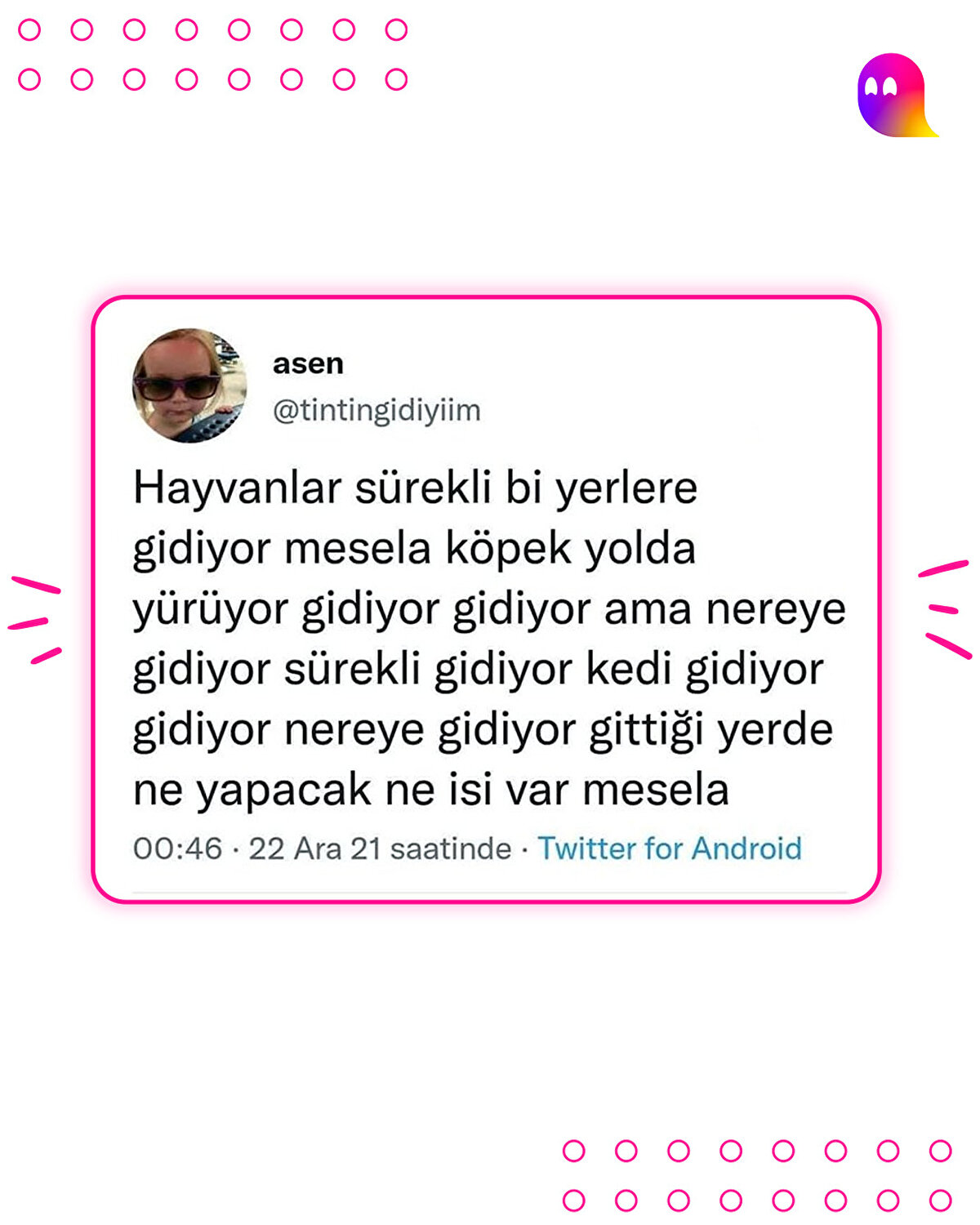 Bu hayvanlar nereye gidiyor?